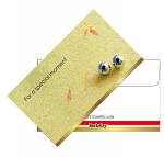Matching Envelope for Gift Certificate | Design 05