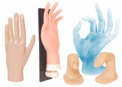 Hands & Fingers