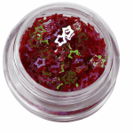 Irridescent Mylar Spangle | Hollow Star | Dark Red