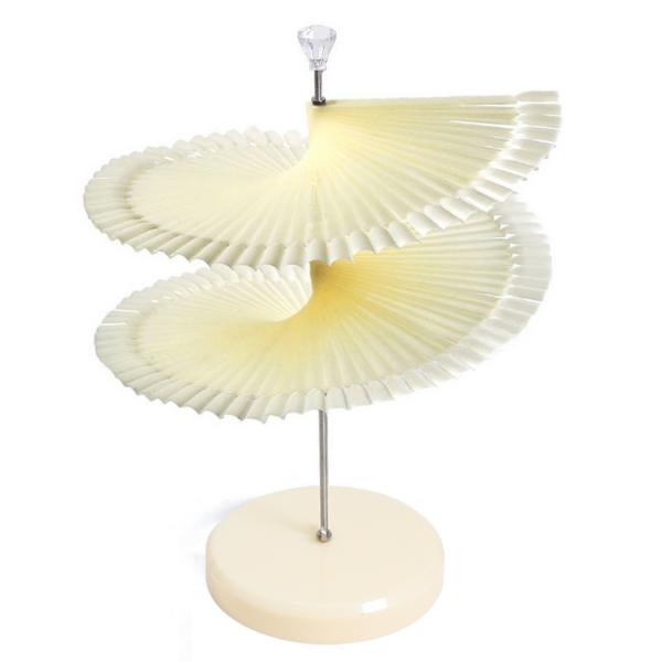 120-Tip Spiral Polish Display | Natural