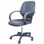 All Purpose Salon Chair - Black